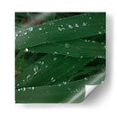 Gotas de tranquilidad - Isidro Velázquez | Cuadro decorativo de Canvas Lab