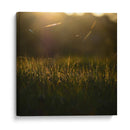 Descanso  - Isidro Velázquez | Cuadro decorativo de Canvas Lab