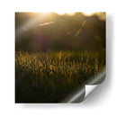 Descanso  - Isidro Velázquez | Cuadro decorativo de Canvas Lab