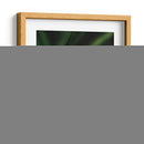 Mariposa - Isidro Velázquez | Cuadro decorativo de Canvas Lab