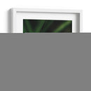 Mariposa - Isidro Velázquez | Cuadro decorativo de Canvas Lab