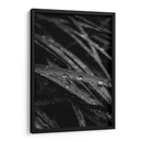 Rain's Whisper on Leaves - Ani Coloca | Cuadro decorativo de Canvas Lab