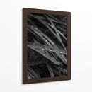 Rain's Whisper on Leaves - Ani Coloca | Cuadro decorativo de Canvas Lab