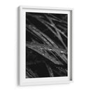 Rain's Whisper on Leaves - Ani Coloca | Cuadro decorativo de Canvas Lab