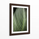 Lines of Life - Ani Coloca | Cuadro decorativo de Canvas Lab