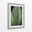 Lines of Life - Ani Coloca | Cuadro decorativo de Canvas Lab