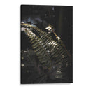 Nature's Shadow Dance - Ani Coloca | Cuadro decorativo de Canvas Lab