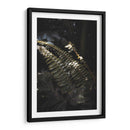 Nature's Shadow Dance - Ani Coloca | Cuadro decorativo de Canvas Lab