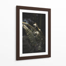 Nature's Shadow Dance - Ani Coloca | Cuadro decorativo de Canvas Lab