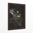 Nature's Shadow Dance - Ani Coloca | Cuadro decorativo de Canvas Lab