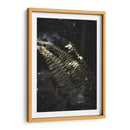 Nature's Shadow Dance - Ani Coloca | Cuadro decorativo de Canvas Lab