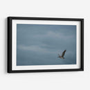 Pelicano minimalista - Fernando Lopez | Cuadro decorativo de Canvas Lab