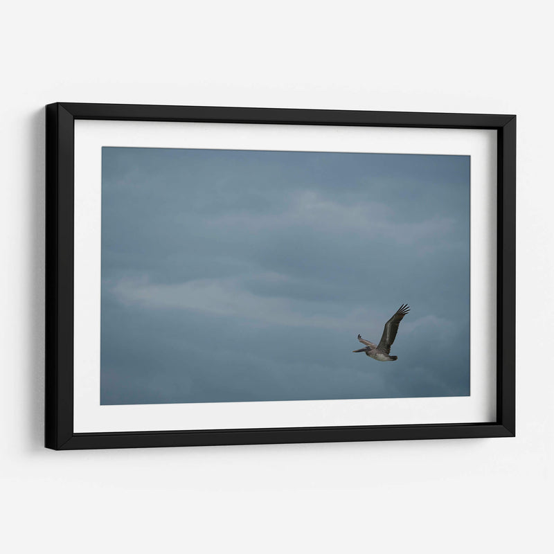 Pelicano minimalista - Fernando Lopez | Cuadro decorativo de Canvas Lab