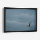 Pelicano minimalista - Fernando Lopez | Cuadro decorativo de Canvas Lab