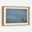 Pelicano minimalista - Fernando Lopez | Cuadro decorativo de Canvas Lab