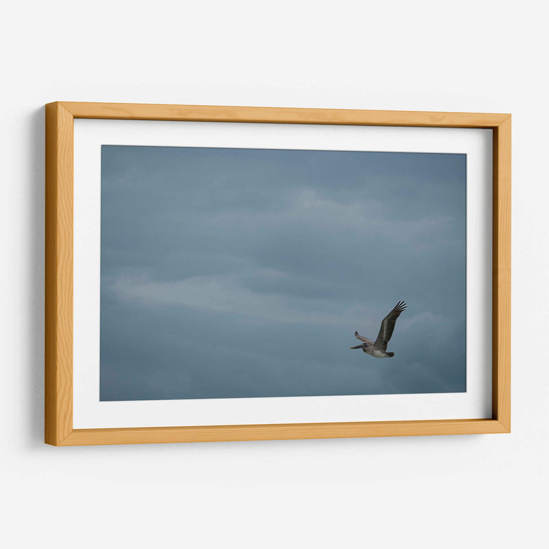 Pelicano minimalista - Fernando Lopez | Cuadro decorativo de Canvas Lab