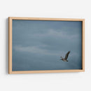 Pelicano minimalista - Fernando Lopez | Cuadro decorativo de Canvas Lab