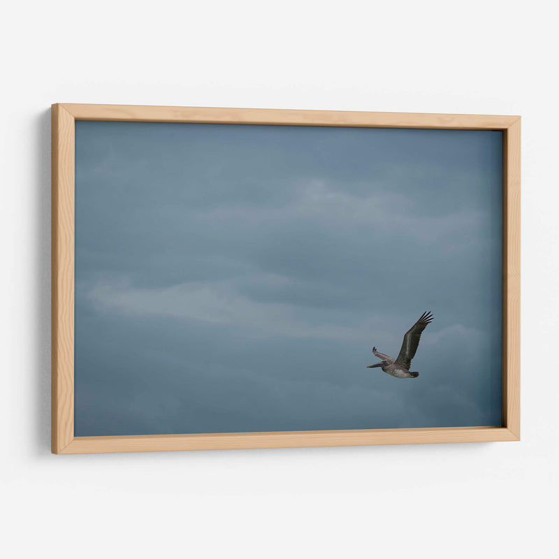 Pelicano minimalista - Fernando Lopez | Cuadro decorativo de Canvas Lab