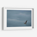 Pelicano minimalista - Fernando Lopez | Cuadro decorativo de Canvas Lab