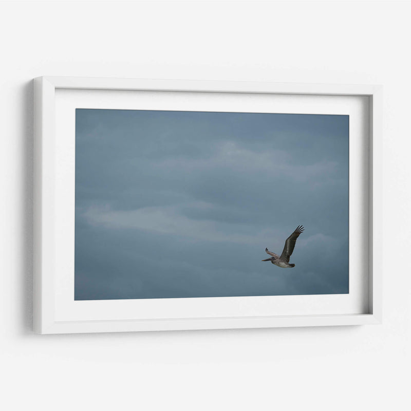 Pelicano minimalista - Fernando Lopez | Cuadro decorativo de Canvas Lab