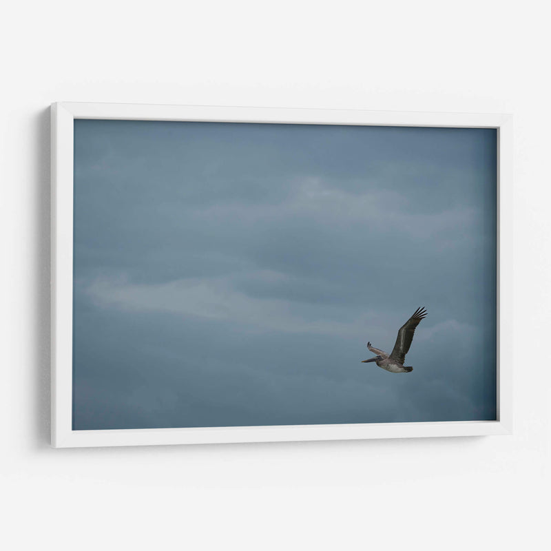 Pelicano minimalista - Fernando Lopez | Cuadro decorativo de Canvas Lab