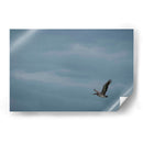 Pelicano minimalista - Fernando Lopez | Cuadro decorativo de Canvas Lab