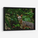 Zorro gris en la selva - Fernando Lopez | Cuadro decorativo de Canvas Lab
