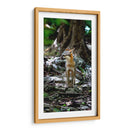 Zorro gris - Fernando Lopez | Cuadro decorativo de Canvas Lab