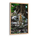 Zorro gris - Fernando Lopez | Cuadro decorativo de Canvas Lab