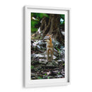 Zorro gris - Fernando Lopez | Cuadro decorativo de Canvas Lab