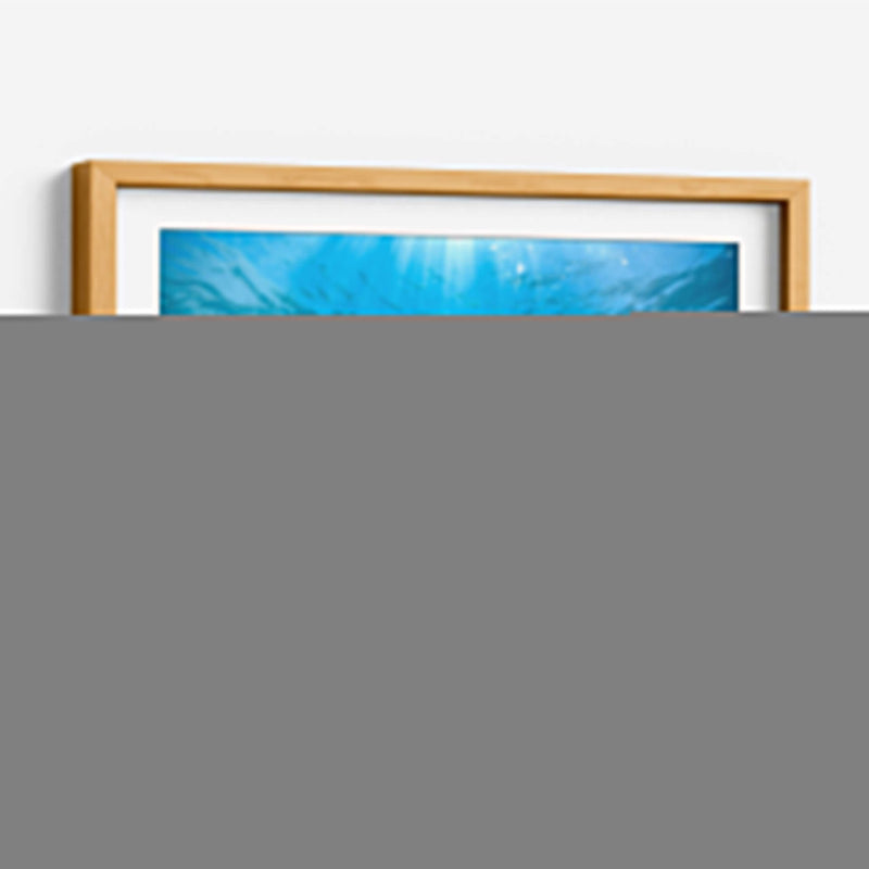 Tortuga nadando bajo rayo de sol - Fernando Lopez | Cuadro decorativo de Canvas Lab