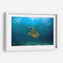 Tortuga nadando bajo rayo de sol - Fernando Lopez | Cuadro decorativo de Canvas Lab