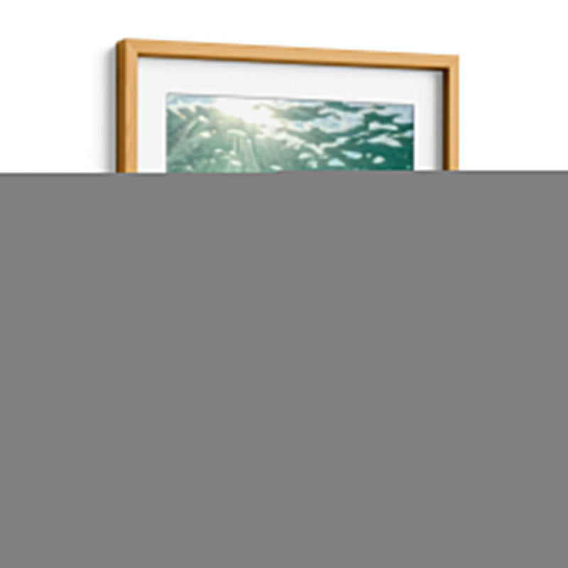 Tortuga descansando - Fernando Lopez | Cuadro decorativo de Canvas Lab