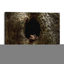 Rana descansando - Fernando Lopez | Cuadro decorativo de Canvas Lab