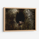 Rana descansando - Fernando Lopez | Cuadro decorativo de Canvas Lab