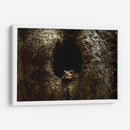 Rana descansando - Fernando Lopez | Cuadro decorativo de Canvas Lab