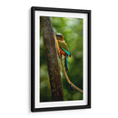 Pajaro mot mot acultandose - Fernando Lopez | Cuadro decorativo de Canvas Lab