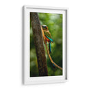 Pajaro mot mot acultandose - Fernando Lopez | Cuadro decorativo de Canvas Lab