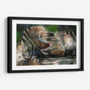 Iguanas peleando - Fernando Lopez | Cuadro decorativo de Canvas Lab