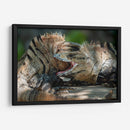 Iguanas peleando - Fernando Lopez | Cuadro decorativo de Canvas Lab