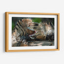 Iguanas peleando - Fernando Lopez | Cuadro decorativo de Canvas Lab
