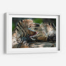 Iguanas peleando - Fernando Lopez | Cuadro decorativo de Canvas Lab