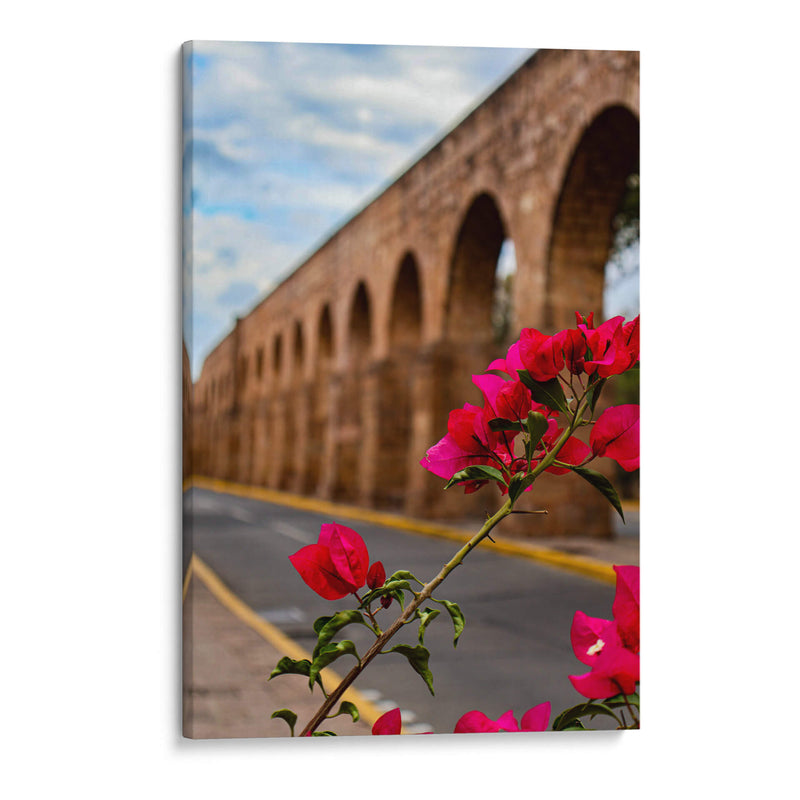 Flor de camelina enmarcando el acueducto de Morelia. - Nosion | Cuadro decorativo de Canvas Lab