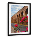 Flor de camelina enmarcando el acueducto de Morelia. - Nosion | Cuadro decorativo de Canvas Lab