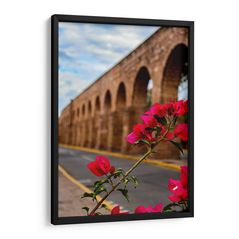 Flor de camelina enmarcando el acueducto de Morelia. - Nosion | Cuadro decorativo de Canvas Lab