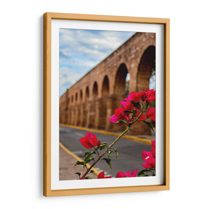 Flor de camelina enmarcando el acueducto de Morelia. - Nosion | Cuadro decorativo de Canvas Lab