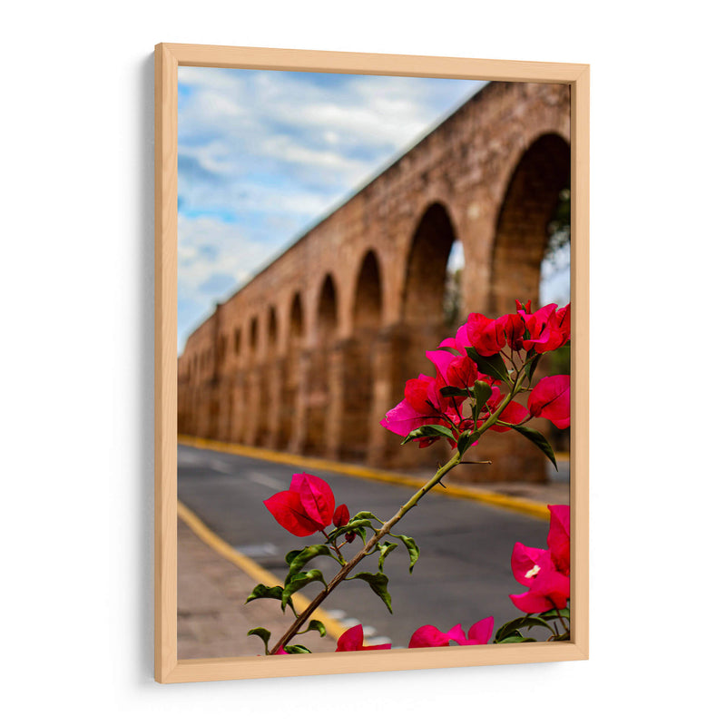 Flor de camelina enmarcando el acueducto de Morelia. - Nosion | Cuadro decorativo de Canvas Lab