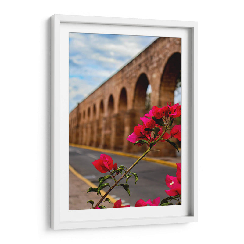 Flor de camelina enmarcando el acueducto de Morelia. - Nosion | Cuadro decorativo de Canvas Lab