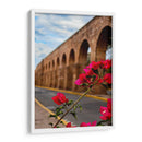 Flor de camelina enmarcando el acueducto de Morelia. - Nosion | Cuadro decorativo de Canvas Lab