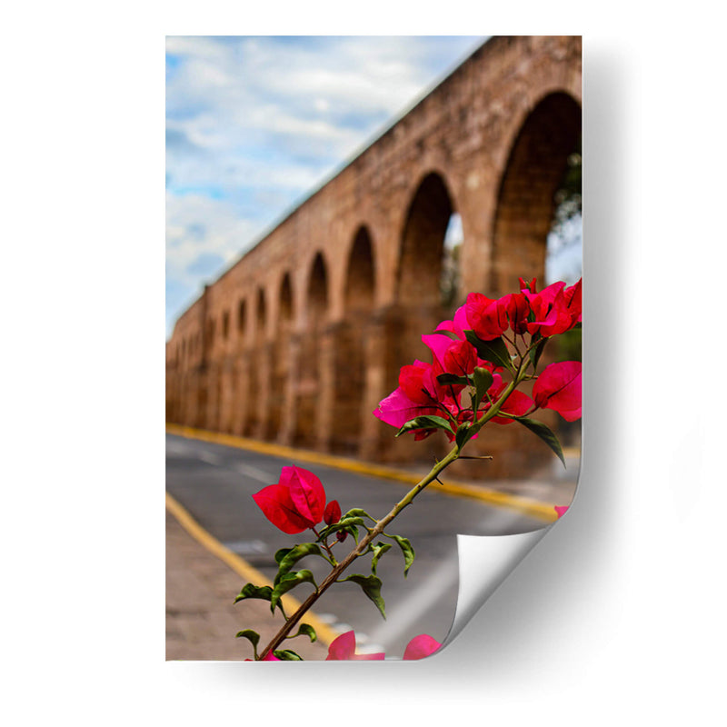Flor de camelina enmarcando el acueducto de Morelia. - Nosion | Cuadro decorativo de Canvas Lab